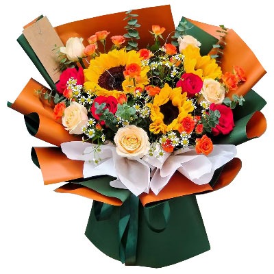 ������ͨԷ����